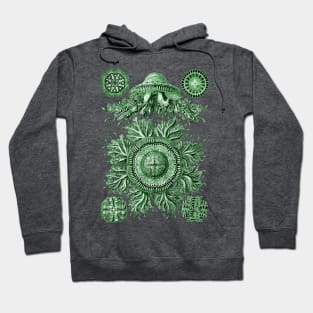 Ernst Haeckel Discomedusae Jellyfish Plate 28 Green Hoodie